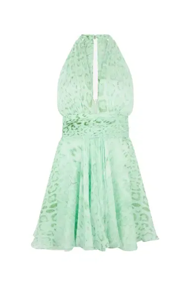 Roberto Cavalli Jaguar Mint Print Silk Mini Dress | Thumbnail 1 Roberto Cavalli Jaguar Mint Print Silk Mini Dress | Thumbnail 1