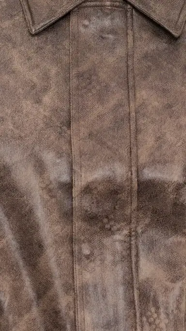 LIONESS Faux eather Kenny Bomber Chocolate | Thumbnail 6
