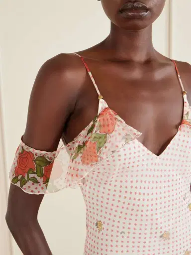 Donde Esteban Pajaritos Y Rosas Printed Ruffled Silk-chiffon Maxi Dress | Thumbnail 5 Donde Esteban Pajaritos Y Rosas Printed Ruffled Silk-chiffon Maxi Dress | Thumbnail 5