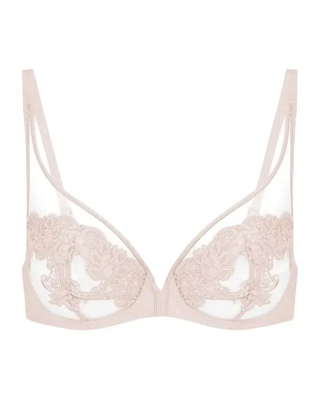 Saga Sheer Plunge Bra