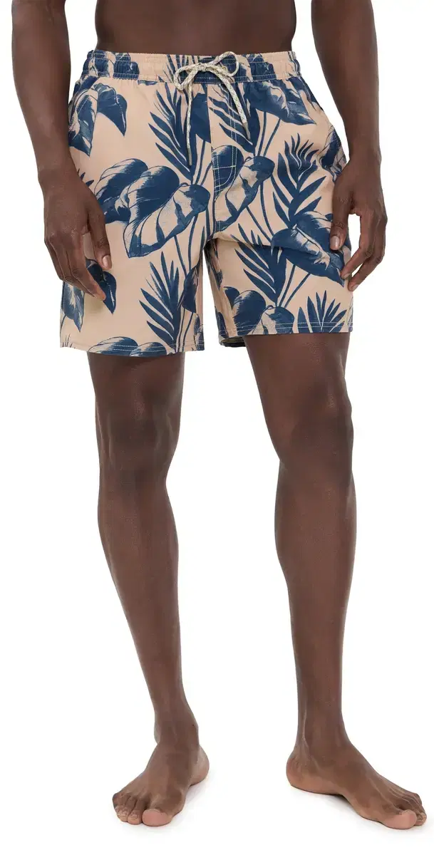 Katin elma Volley wim Trunks 7 Brush