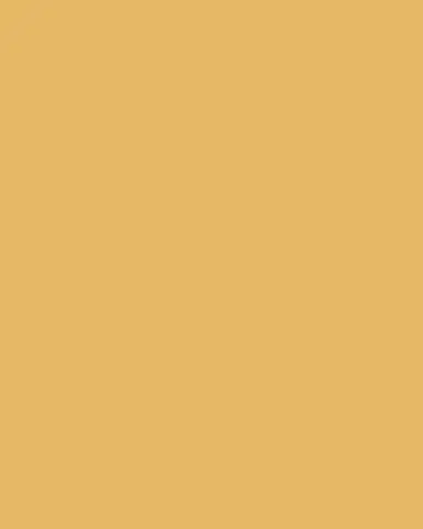 Monica Rich Kosann 18K Yellow Gold Pearl Charm Necklace | Thumbnail 2