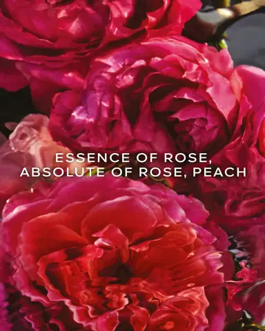 Guerlain Aqua Allegoria Rosa Rossa Rose Forte Eau de Parfum, 4.2 oz. | Thumbnail 3 Guerlain Aqua Allegoria Rosa Rossa Rose Forte Eau de Parfum, 4.2 oz. | Thumbnail 3