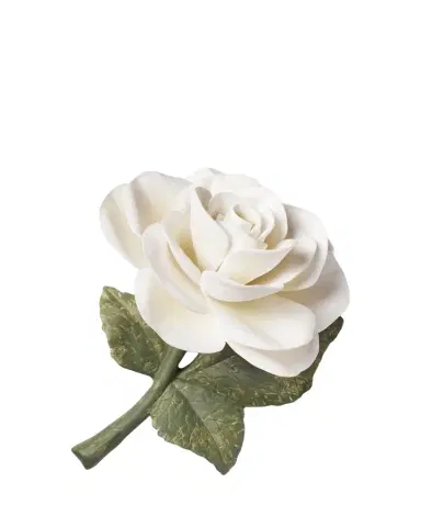 AERIN Porcelain Rose, Cream | Thumbnail 1
