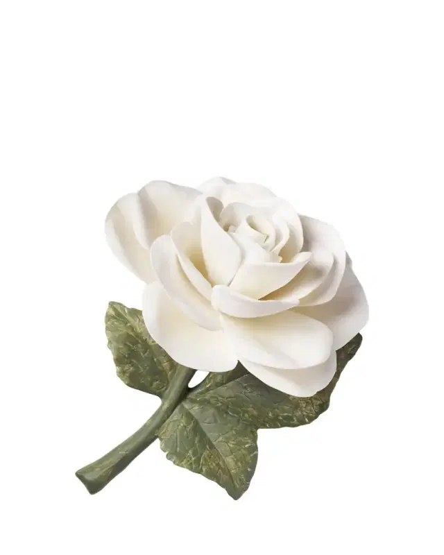 AERIN Porcelain Rose, Cream
