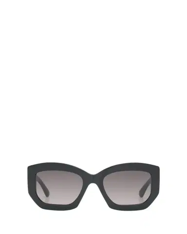 Pucci Oversized Logo Acetate & Metal Sunglasses | Thumbnail 1