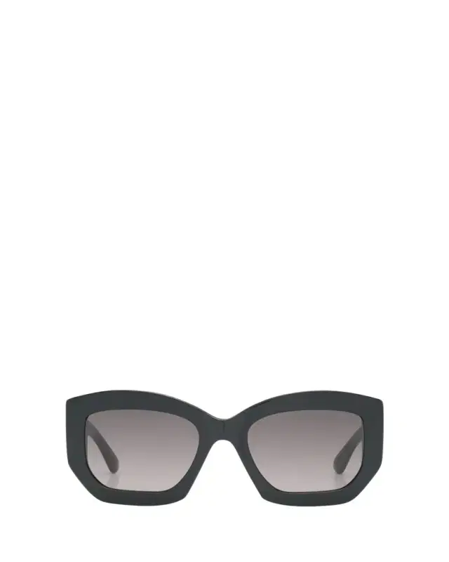 Pucci Oversized Logo Acetate & Metal Sunglasses