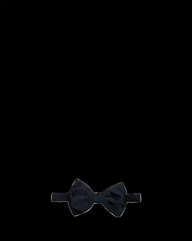 Giorgio Armani Men's Butterfly Bow Tie | Thumbnail 2