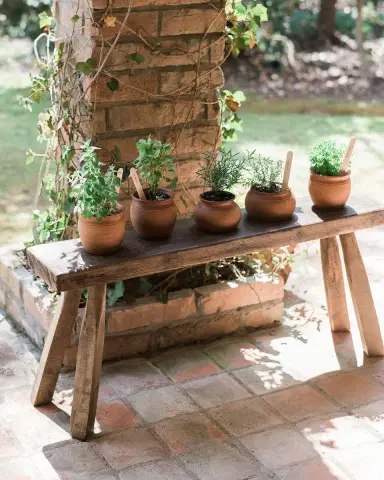 etúHome Found Stable Pine Bench | Thumbnail 2 etúHome Found Stable Pine Bench | Thumbnail 2