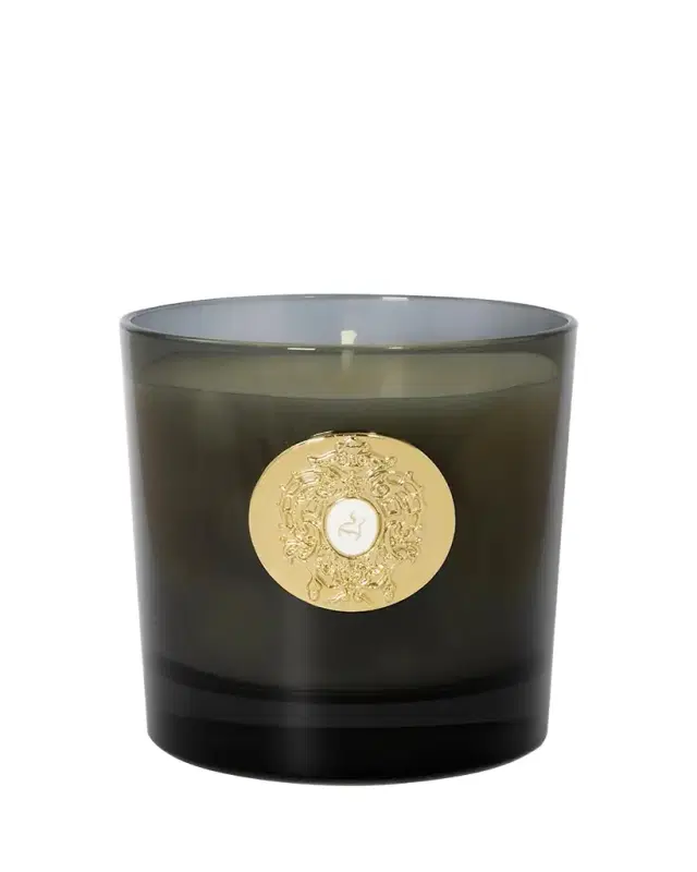 Tiziana Terenzi 8.81 oz. Halley Black Glass Candle