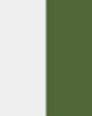 GINORI 1735 Florenza Malva Dinner Plate | Thumbnail 4 GINORI 1735 Florenza Malva Dinner Plate | Thumbnail 4