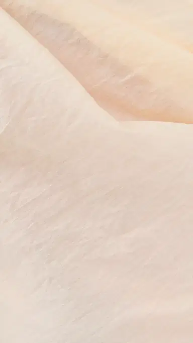 Aligne Dana Sheer Top White | Thumbnail 6 Aligne Dana Sheer Top White | Thumbnail 6
