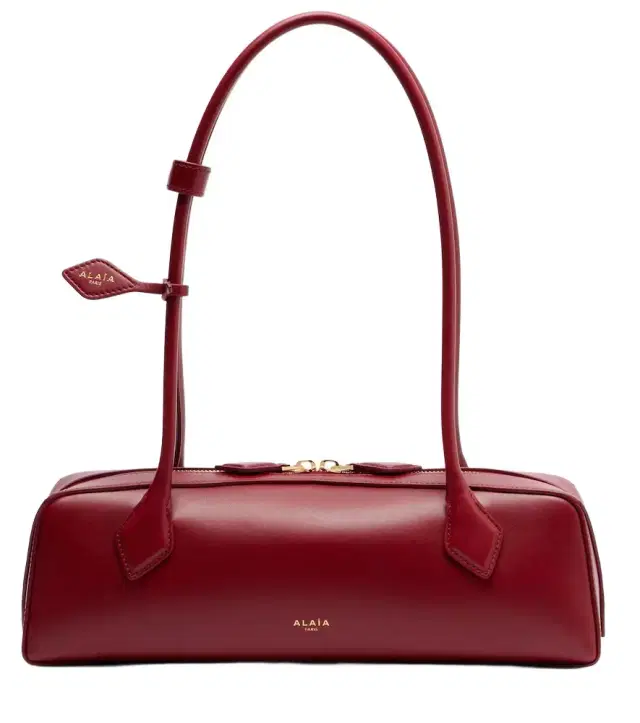 Alaia Alaïa Le Teckel Medium leather shoulder bag
