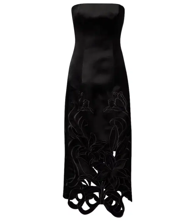 Rayna floral-appliqué bustier gown