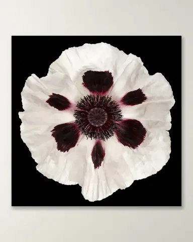 Wendover Art Group White Poppy Giclee | Thumbnail 4 Wendover Art Group White Poppy Giclee | Thumbnail 4