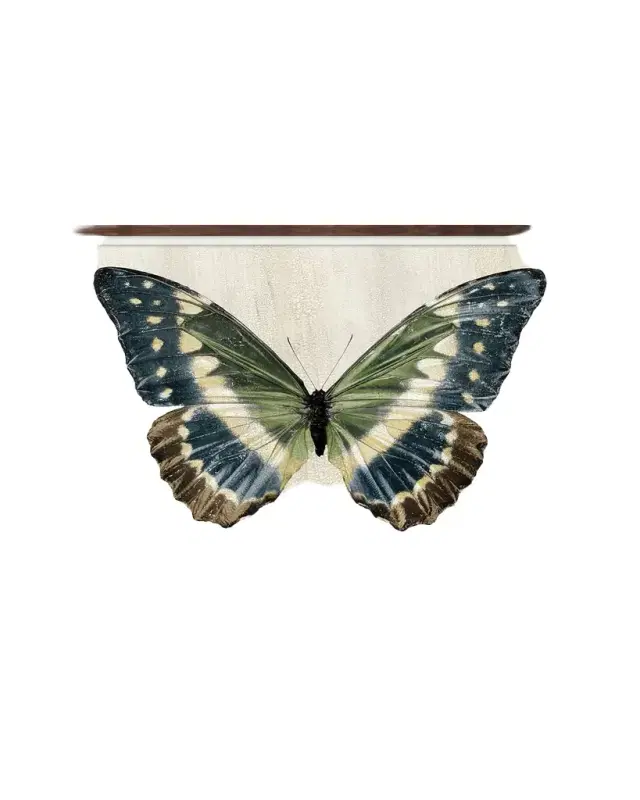 Wendover Art Group "Crackled Butterfly 2" Giclee Print