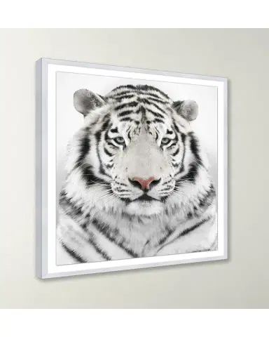 Wendover Art Group Snow Tiger Giclee | Thumbnail 3 Wendover Art Group Snow Tiger Giclee | Thumbnail 3