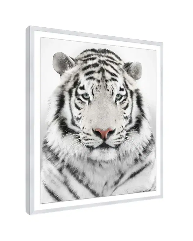 Wendover Art Group Snow Tiger Giclee