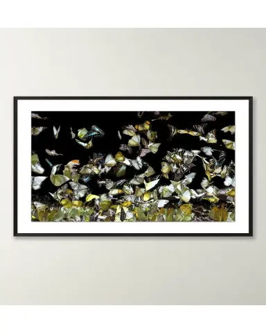Wendover Art Group "Reflecting Butterflies 2" Giclee | Thumbnail 2 Wendover Art Group "Reflecting Butterflies 2" Giclee | Thumbnail 2