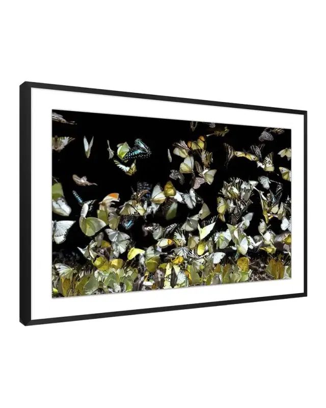 Wendover Art Group "Reflecting Butterflies 2" Giclee