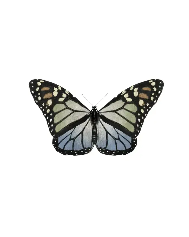Wendover Art Group "Crackled Butterfly 1" Giclee Print