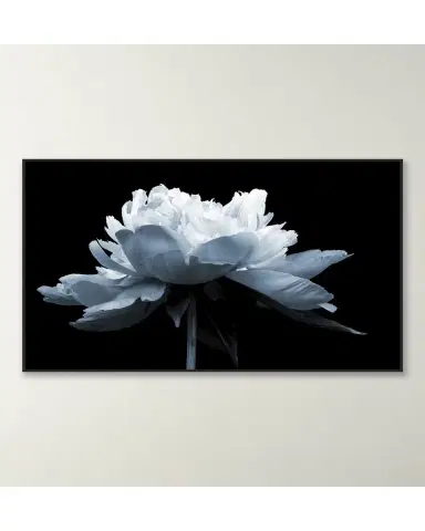 Wendover Art Group "Midnight Blossom 2" Giclee | Thumbnail 2 Wendover Art Group "Midnight Blossom 2" Giclee | Thumbnail 2