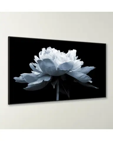 Wendover Art Group "Midnight Blossom 2" Giclee | Thumbnail 3 Wendover Art Group "Midnight Blossom 2" Giclee | Thumbnail 3