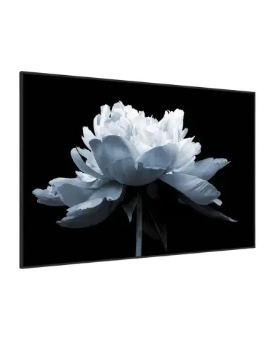Wendover Art Group "Midnight Blossom 2" Giclee | Thumbnail 1 Wendover Art Group "Midnight Blossom 2" Giclee | Thumbnail 1