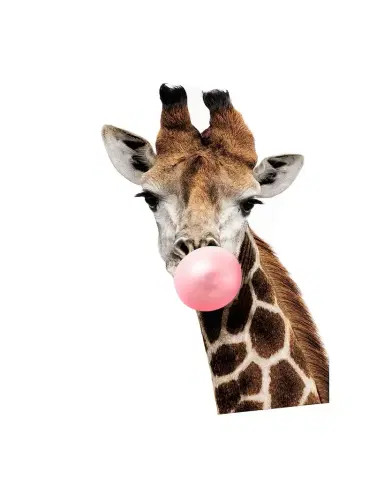 Wendover Art Group 'Pink Pop ' Giraffe Photo Giclee Wall Art | Thumbnail 1 Wendover Art Group 'Pink Pop ' Giraffe Photo Giclee Wall Art | Thumbnail 1