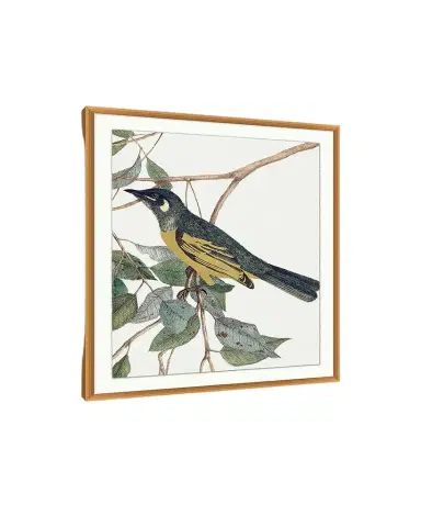 Wendover Art Group 'Birds Of A Feather 2 ' Wall Art | Thumbnail 1 Wendover Art Group 'Birds Of A Feather 2 ' Wall Art | Thumbnail 1