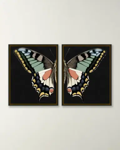 Wendover Art Group "Gilded Wings 1" Giclees, Set of 2 | Thumbnail 3 Wendover Art Group "Gilded Wings 1" Giclees, Set of 2 | Thumbnail 3