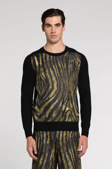 Roberto Cavalli Freedom-Print Panelled Sweater | Thumbnail 3