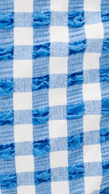 LE BOP High Waisted Bikini Bottoms Gingham (arina/) | Thumbnail 5