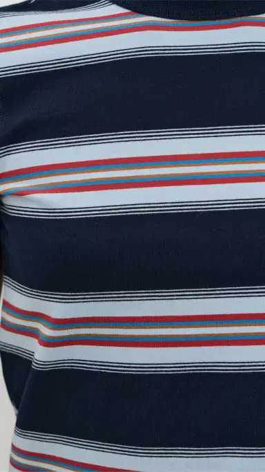 DAZE Zuma Short Sleeve Crew Neck Tee Shadow Stripe | Thumbnail 6