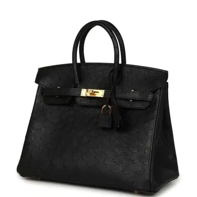 HERMÈS Hermes Birkin 25 Black Ostrich Gold Hardware | Thumbnail 5