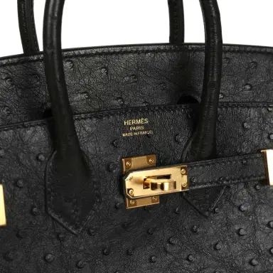 HERMÈS Hermes Birkin 25 Black Ostrich Gold Hardware | Thumbnail 7