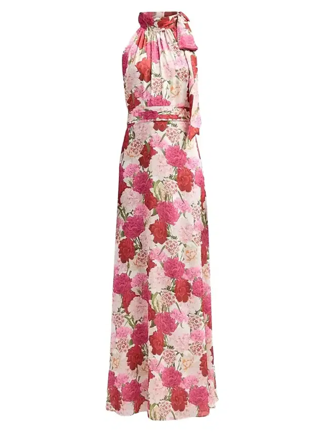 SACHIN BABI Women's Diana Floral Crinkle Georgette Tieneck Gown - Campo Di Fiore