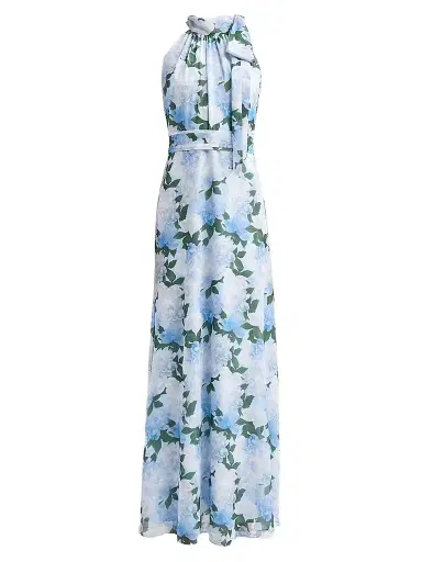 SACHIN & BABI Women's Diana Chiffon Floral Gown | Thumbnail 1 SACHIN & BABI Women's Diana Chiffon Floral Gown | Thumbnail 1