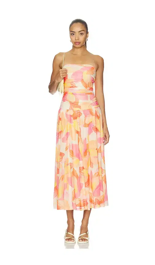 Solana Mesh Midi Dress