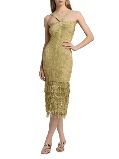 Amur Women's Rosalina Shimmer Metallic Fringe Midi-Dress - Gold - Size XL | Thumbnail 2