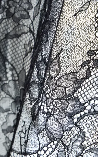 SIR. Ingrid Lace Top | Thumbnail 5 SIR. Ingrid Lace Top | Thumbnail 5
