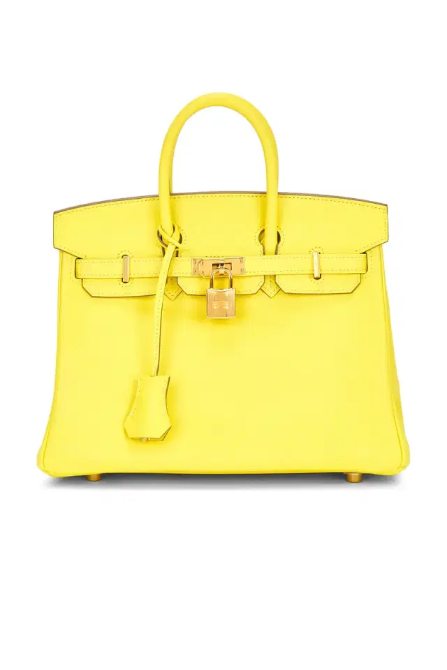Swift Birkin 25 Handbag