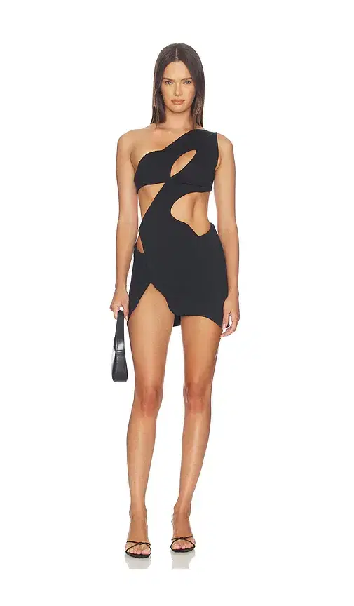 Mother of All Swan Dress