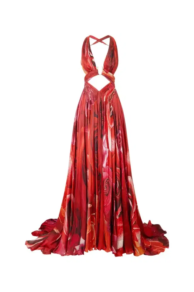 Roberto Cavalli Long Dress With Rose Print And Cut-Out