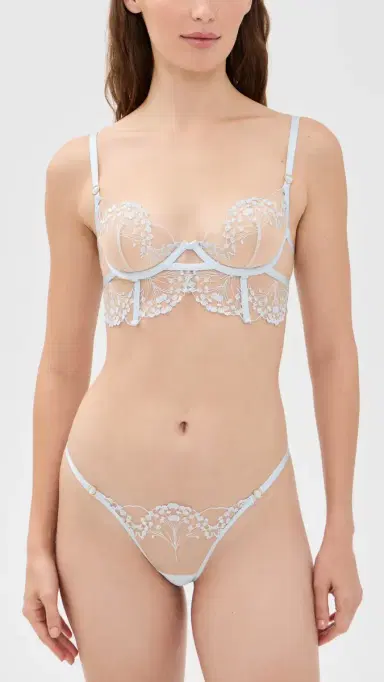 Bluebella Marisa Embroidered Sheer Panty Ice Water Blue/Sheer M | Thumbnail 4