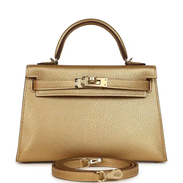 hermes Hermes Kelly Sellier 20 Dore Chevre Chamkilight Permabrass Hardware