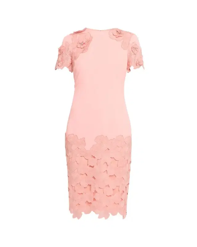 Floral Lace & Crepe Bodycon Dress