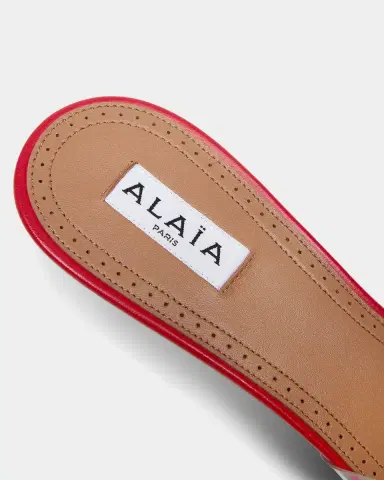 Alaïa 55mm Bloom Leather Transparent Mule Pumps | Thumbnail 2 Alaïa 55mm Bloom Leather Transparent Mule Pumps | Thumbnail 2