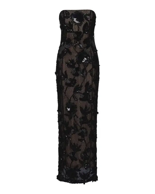 Pierre Strapless Embroidered Tulle Column Gown