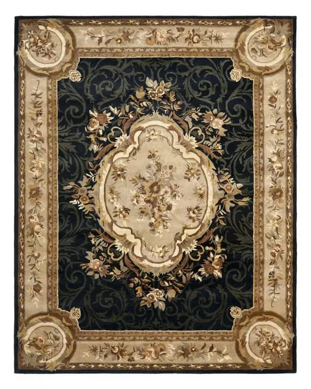 Safavieh Aubusson Night Rug